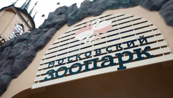 MOSCOW ZOO - 