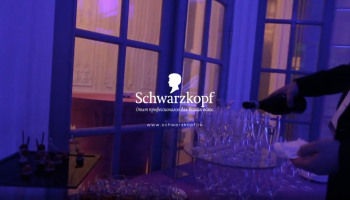 Schwarzkopf styliste ULTIME micro - styler